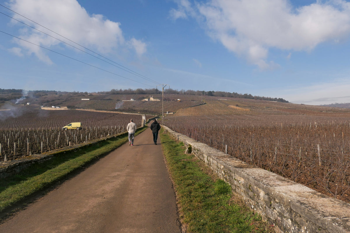 The inaugural release from Clos de la Clos wines